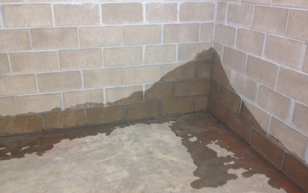 How to dry up wet basement