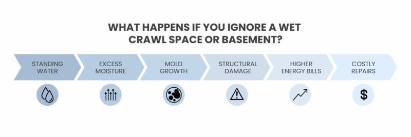 wet crawl space 